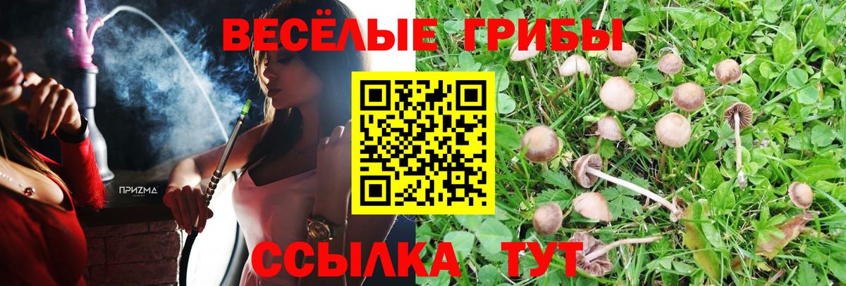 Псилоцибиновые грибы Psilocybe  Псилоцибиновые грибы Psilocybine cubensis  Кандалакша  Вход с VPN 